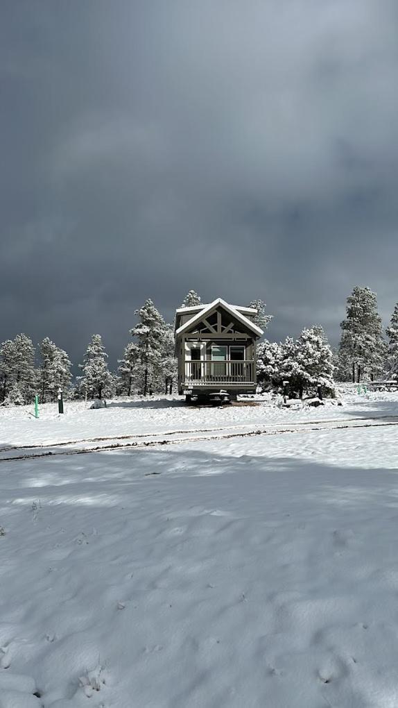 Cozy Cabin With Mountain View 6A Вільямс Екстер'єр фото